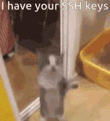 I Have Your Ssh Keys GIF - I Have Your Ssh Keys GIFs