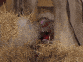 a puppet with a red hat is holding a gun in his mouth