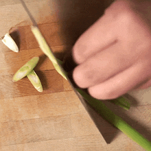 Slicing Green Onions Two Plaid Aprons GIF
