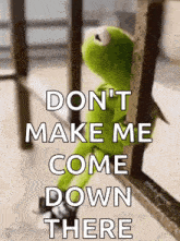 kermit the frog is leaning against a railing with the words `` don 't make me come down there '' .