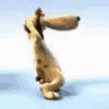 Dogs Pet GIF - Dogs Pet Puppy GIFs