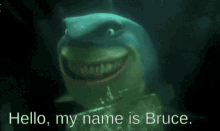 my name a Bruce