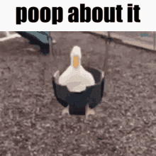 Poop Poop About It GIF
