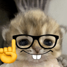 a kitten wearing glasses and a smiley face