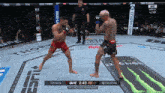 two men are fighting in a ufc ring and the ufc lightweight championship is shown