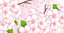 Cute Sakura GIF - Cute Sakura GIFs