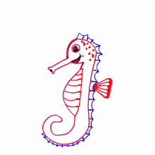 swimming seahorse