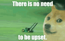 There Is No Need To Be Upset Dont Be Upset GIF