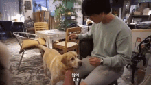 a man is sitting on a chair with a dog on his lap and says sit