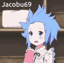 jacobu69 jacobu rem rezero rem blower