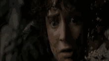 Frodo Scream GIF - No Frodo Lord Of The Rings GIFs
