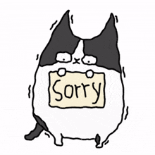 so apology