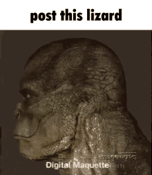 Post This Lizard The Lizard GIF