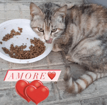 a cat is licking its nose next to a bowl of food with the word amore written on it