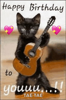 a black cat is holding a guitar in its paws and says happy birthday to you