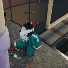 a screenshot of a video game shows a guest 3905