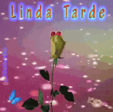 Rose Linda GIF