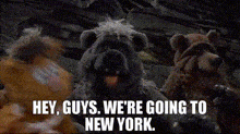 Muppets Fozzie Bear GIF - Muppets Fozzie Bear New York GIFs