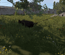 a black cat is walking through a grassy field with flowers