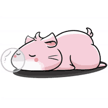 cute hamster pink hamster lunarbaw hamster sleep