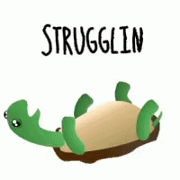Turtle Upsidedownturtle GIF - Turtle Upsidedownturtle Struggle GIFs