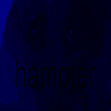Hamster Hampter GIF - Hamster Hampter Disco GIFs