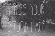 Stupid Face.Gif GIF - Stupid Face Anim-miss Stupid GIFs