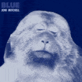 a monkey with its eyes closed is on the cover of joni mitchell 's album