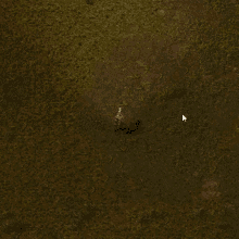 a computer screen shows a person standing in a field