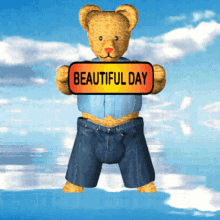 Teddy Bear Kitten GIF - Teddy Bear Kitten Beautiful Day GIFs