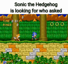 Sonic Who Asked Sonic Finds Who Asked GIF - Sonic Who Asked Sonic Finds Who Asked Sonic The Hedgehog GIFs