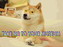 take me to your museum the doge nft bring me to your museum i wanna go to your museum own the doge