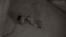 a black and white photo of a person laying on the ground in the snow .