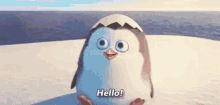 Hello Penguin GIF - Hello Penguin Smile GIFs