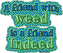 A Friend With Weed Is A Friend Indeed GIF - A Friend With Weed Is A Friend Indeed GIFs
