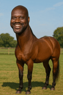 a horse with a man 's face on it standing in a field