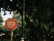 a stop sign that says stop eating animals on it
