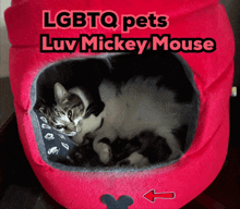 a cat is laying in a pink mickey mouse shaped bed