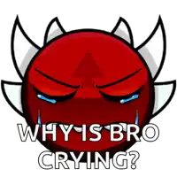 why is bro crying written on a red ball