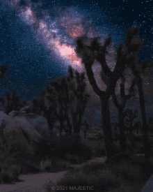 Cielo Estrellado Noche GIF - Cielo Estrellado Noche Magico GIFs