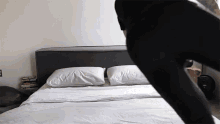 Bed Time Jump GIF