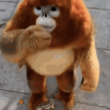 a stuffed monkey is standing on a sidewalk holding something in its mouth .