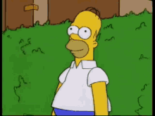 Homer Bushe Homer GIF - Homer Bushe Homer GIFs