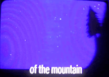 a cartoon bear is hanging upside down with the words the other side behind him