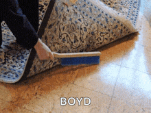 a person is cleaning a rug with a blue brush and the word boyd is on the bottom of the image