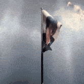 a flag with a picture of a person on it