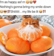 Happy Cat GIF - Happy Cat Mandarine GIFs