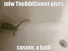 a picture of a dinosaur in a bathtub with a caption that says mfw the odd comet gives cosmic a bath