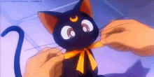 sailormoon luna bow black cat