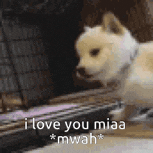 a dog is standing next to a piano keyboard and says `` i love you miaa '' .